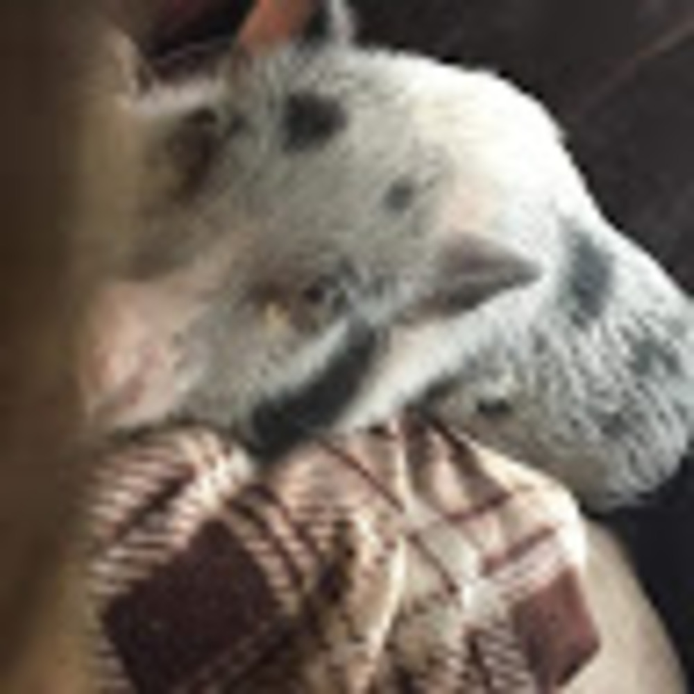Meet your Posher, Tessa